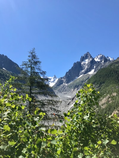 绿树蓝天白天下附近的山
